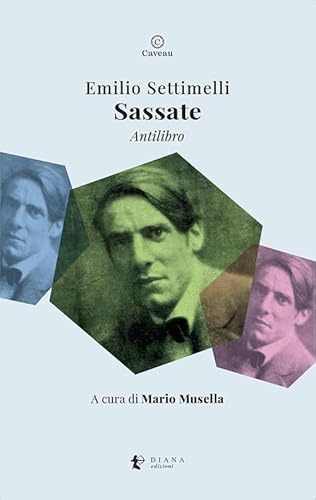 Sassate. Antilibro (Caveau) von Diana edizioni