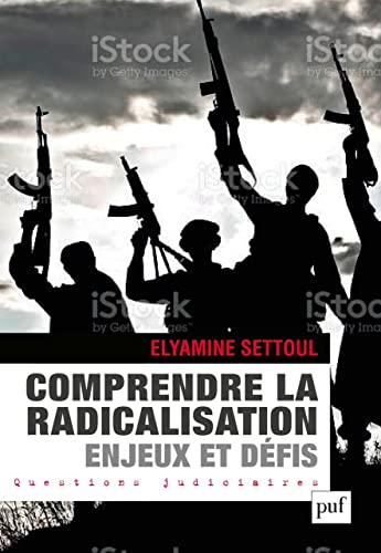 Penser la radicalisation djihadiste : acteurs, théories, mutations