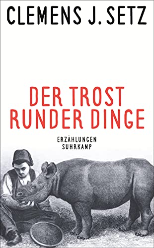 Der Trost runder Dinge: Erzählungen (suhrkamp taschenbuch)
