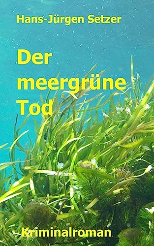 Der meergruene Tod (Leon Walters ermittelt, Band 2) von CREATESPACE