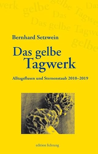 Das gelbe Tagwerk: Alltagsflusen und Sternenstaub 2010-2019