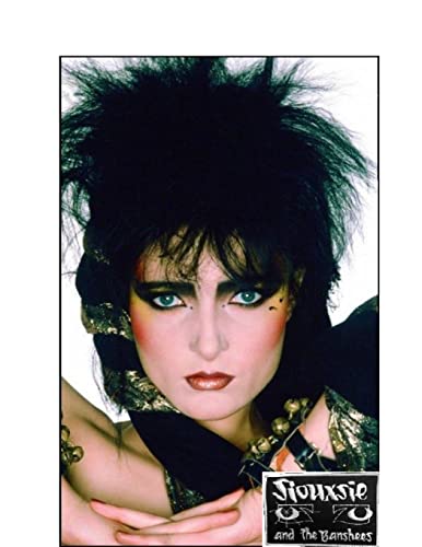 Siouxsie and the Banshees: The Untold Story