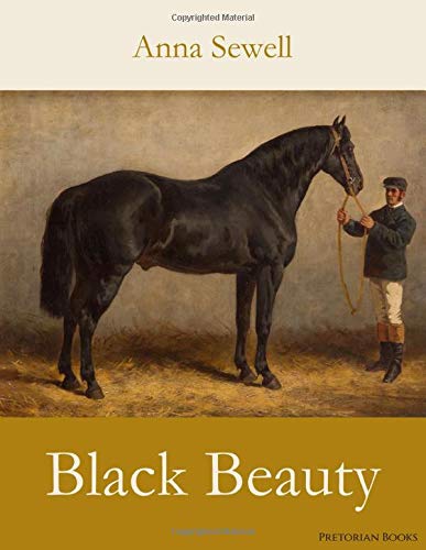 Black Beauty Black Beauty