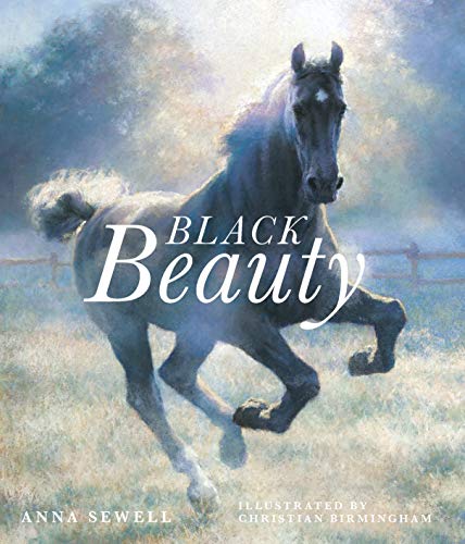 Black Beauty von Palazzo Editions