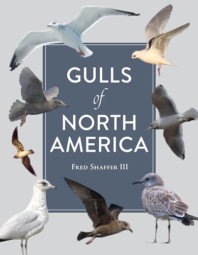 Gulls of North America von Schiffer Publishing Ltd