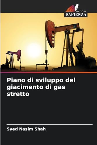 Piano di sviluppo del giacimento di gas stretto von Edizioni Sapienza