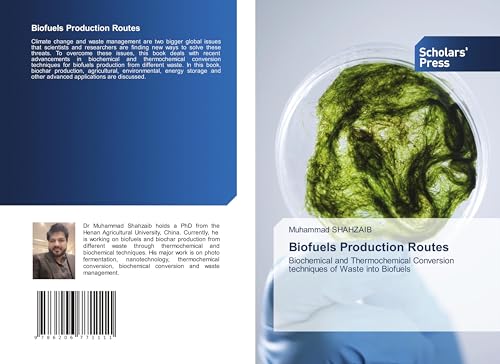 Biofuels Production Routes: Biochemical and Thermochemical Conversion techniques of Waste into Biofuels von Scholars' Press