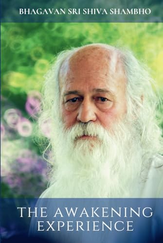 The Awakening Experience von Independently published