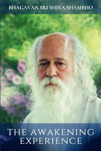 The Awakening Experience von Independently published