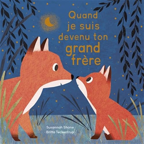 Quand je suis devenu ton grand frère von 1 2 3 SOLEIL