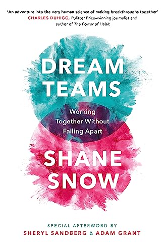 Dream Teams: Working Together Without Falling Apart von Hachette