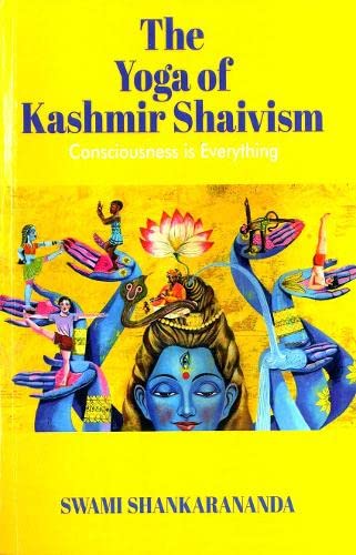 Consciousness is Everything von Motilal Banarsidass Publications