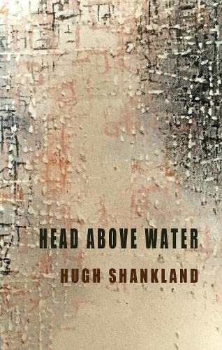 Head Above Water Head Above Water von Troubador Publishing
