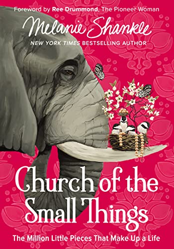 CHURCH OF SMALL THINGS ITPE: The Million Little Pieces That Make up a Life von Zondervan