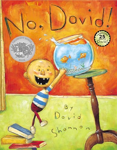 No, David! (Caldecott Honor Book)