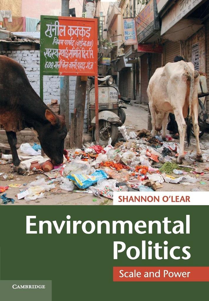 Environmental Politics von Cambridge University Press