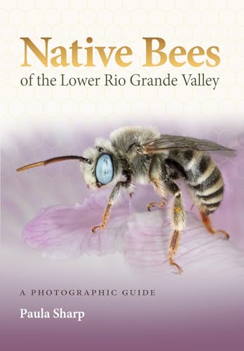 Native Bees of the Lower Rio Grande Valley: A Photographic Guide (Gideon Lincecum Nature and Environment) von Texas A & M University Press