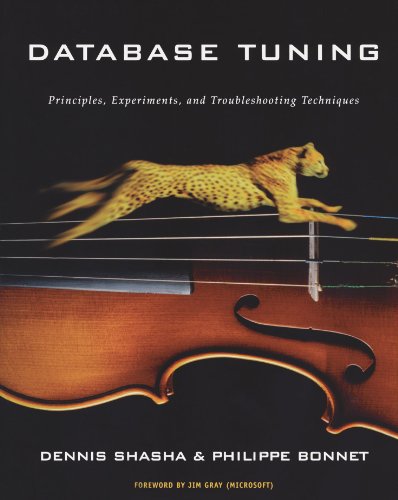 Database Tuning: Principles, Experiments, and Troubleshooting Techniques (The Morgan Kaufmann Series in Data Management Systems)