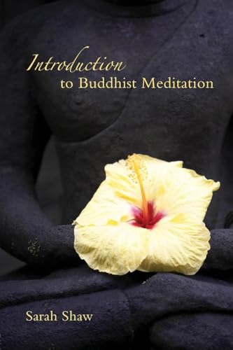 Introduction to Buddhist Meditation von Routledge
