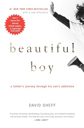 Beautiful Boy: A Father's Journey Through His Son's Addiction