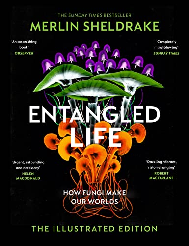 Entangled Life (The Illustrated Edition): A beautiful new edition of the Sunday Times bestseller featuring 100 illustrations von Bodley Head