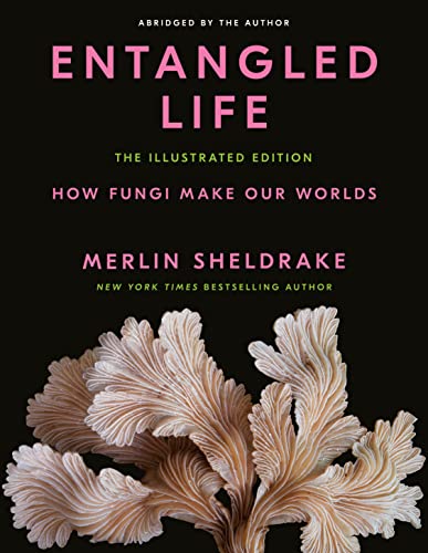 Entangled Life: The Illustrated Edition: How Fungi Make Our Worlds von Random House Children's Books