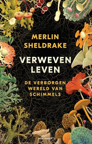 Verweven leven: de verborgen wereld van schimmels