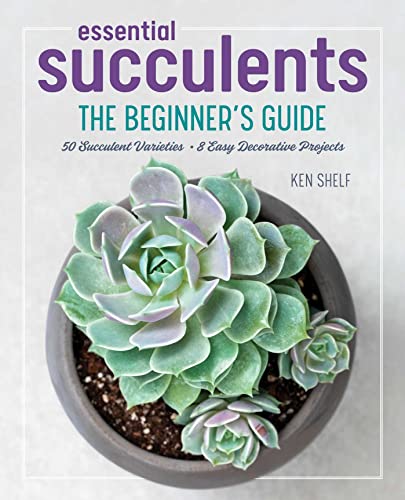 Essential Succulents: The Beginner's Guide von Rockridge Press
