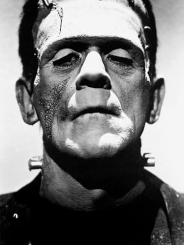 Frankenstein : Freshly Annotated: or, The Modern Prometheus Frankenstein : Freshly Annotated: or, The Modern Prometheus