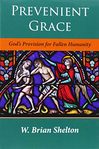 Prevenient Grace: God's Provision for Fallen Humanity: God’s Provision for Fallen Humanity