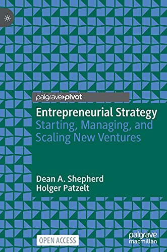 Entrepreneurial Strategy: Starting, Managing, and Scaling New Ventures von MACMILLAN