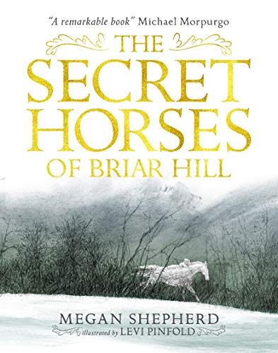 The Secret Horses of Briar Hill The Secret Horses of Briar Hill
