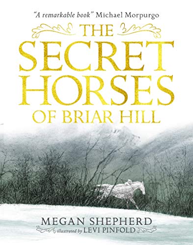 The Secret Horses of Briar Hill von WALKER BOOKS