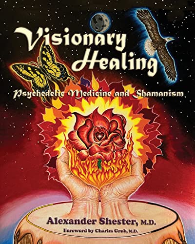 VISIONARY HEALING Psychedelic Medicine and Shamanism von Regent Press