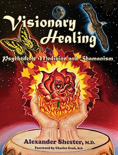 VISIONARY HEALING Psychedelic Medicine and Shamanism von Regent Press