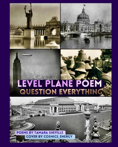 Level Plane Poem: Question Everything (Level Plane Poem Series)