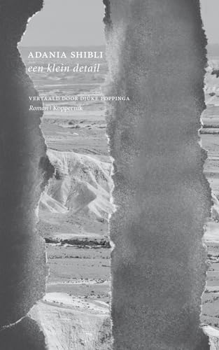 Een klein detail: roman