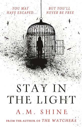 Stay in the Light: the chilling sequel to hit horror novel THE WATCHERS von Head of Zeus -- an Aries Book
