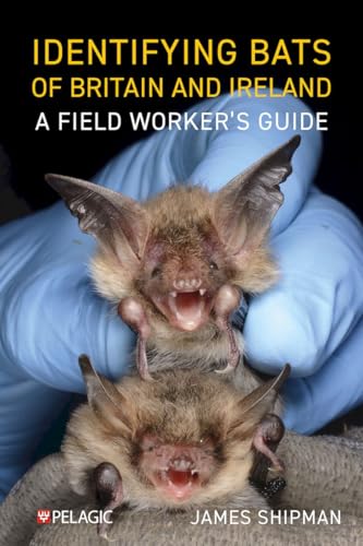 Identifying Bats of Britain and Ireland: A Field Worker’s Guide (Pelagic Identification Guides) von Pelagic Publishing