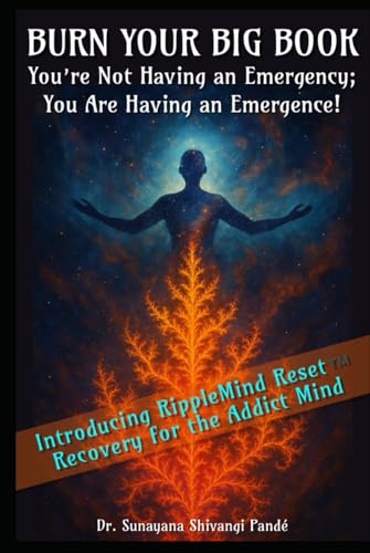 Burn Your Big Book: You're Not Having an Emergency; You're Having an Emergence! (RippleMind Reset™ Recovery Books) von Independently published