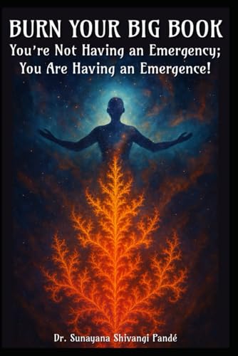 Burn Your Big Book: You're Not Having an Emergency; You're Having an Emergence! (RippleMind Reset™ Recovery Books) von Independently published