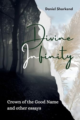 Divine Infinity: Crown of the Good Name and other essays von Lulu.com