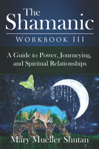 The Shamanic Workbook III: A Guide to Power, Journeying, and Spiritual Relationships (Shamanic Workbook Series, Band 3)