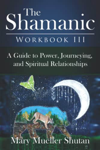 The Shamanic Workbook III: A Guide to Power, Journeying, and Spiritual Relationships (Shamanic Workbook Series, Band 3) von Independently published