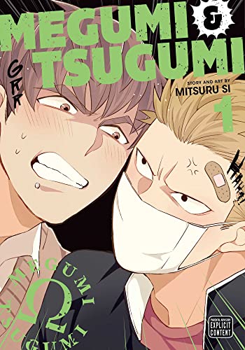 Megumi & Tsugumi, Vol. 1: Volume 1 (MEGUMI & TSUGUMI GN, Band 1) von Sublime