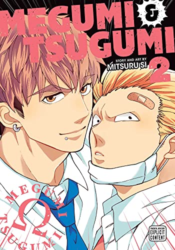 Megumi & Tsugumi, Vol. 2 (MEGUMI & TSUGUMI GN, Band 2)