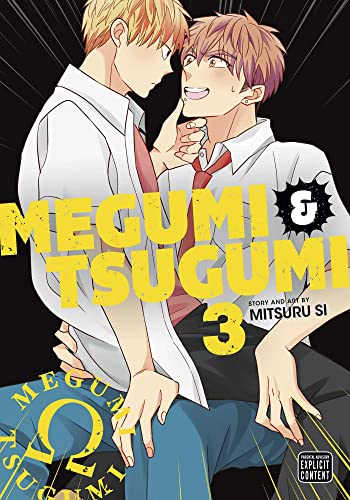 Megumi & Tsugumi, Vol. 3 (MEGUMI & TSUGUMI GN, Band 3)