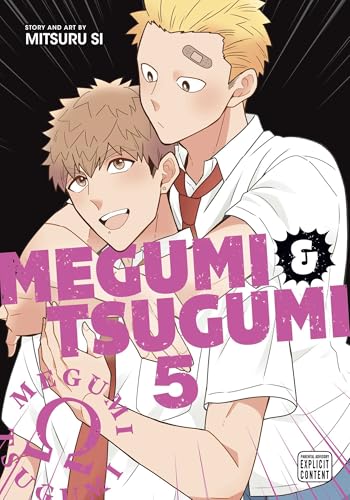 Megumi & Tsugumi, Vol. 5 (MEGUMI & TSUGUMI GN, Band 5) von Viz LLC