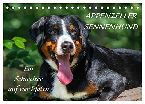Appenzeller Sennenhund - Ein Schweizer auf 4 Pfoten (Tischkalender 2024 DIN A5 quer), CALVENDO Monatskalender von CALVENDO