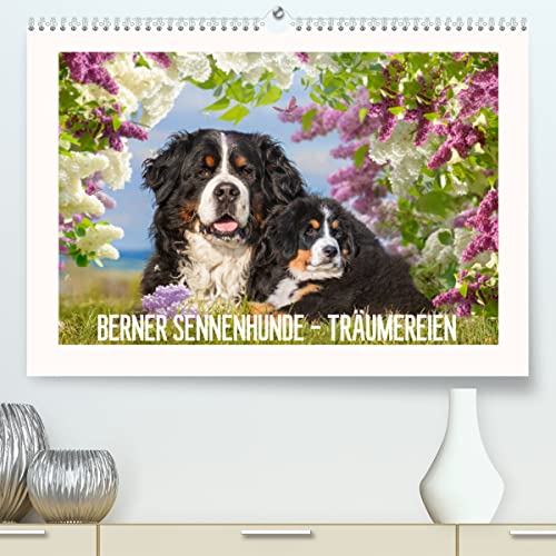Berner Sennenhunde - Träumereien (hochwertiger Premium Wandkalender 2024 DIN A2 quer), Kunstdruck in Hochglanz